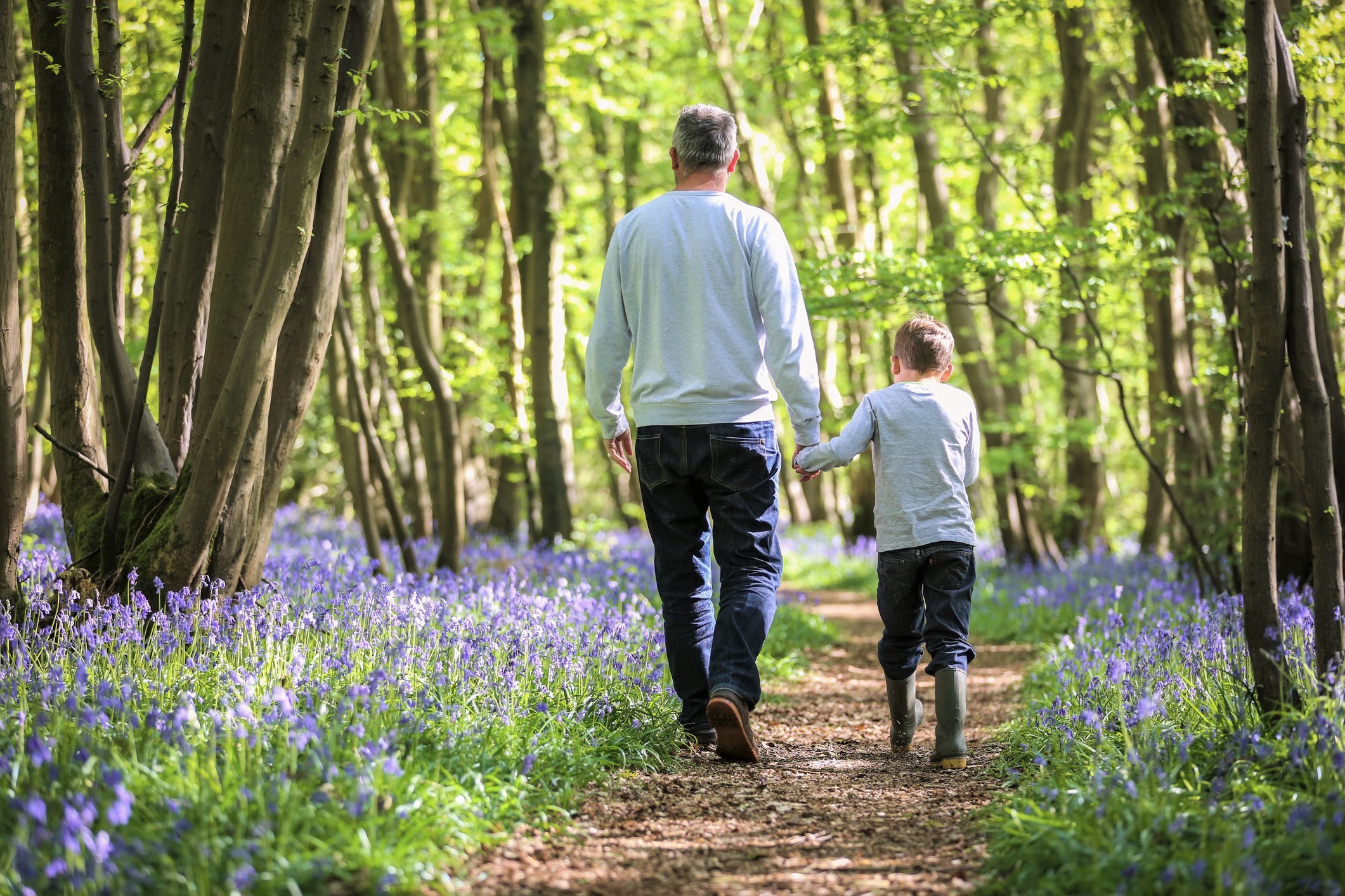 A father and son walking hand in hand along a woodland path. The surroundings are lush with green foliage, and the ground is lined with blooming bluebell flowers on either side of the path.