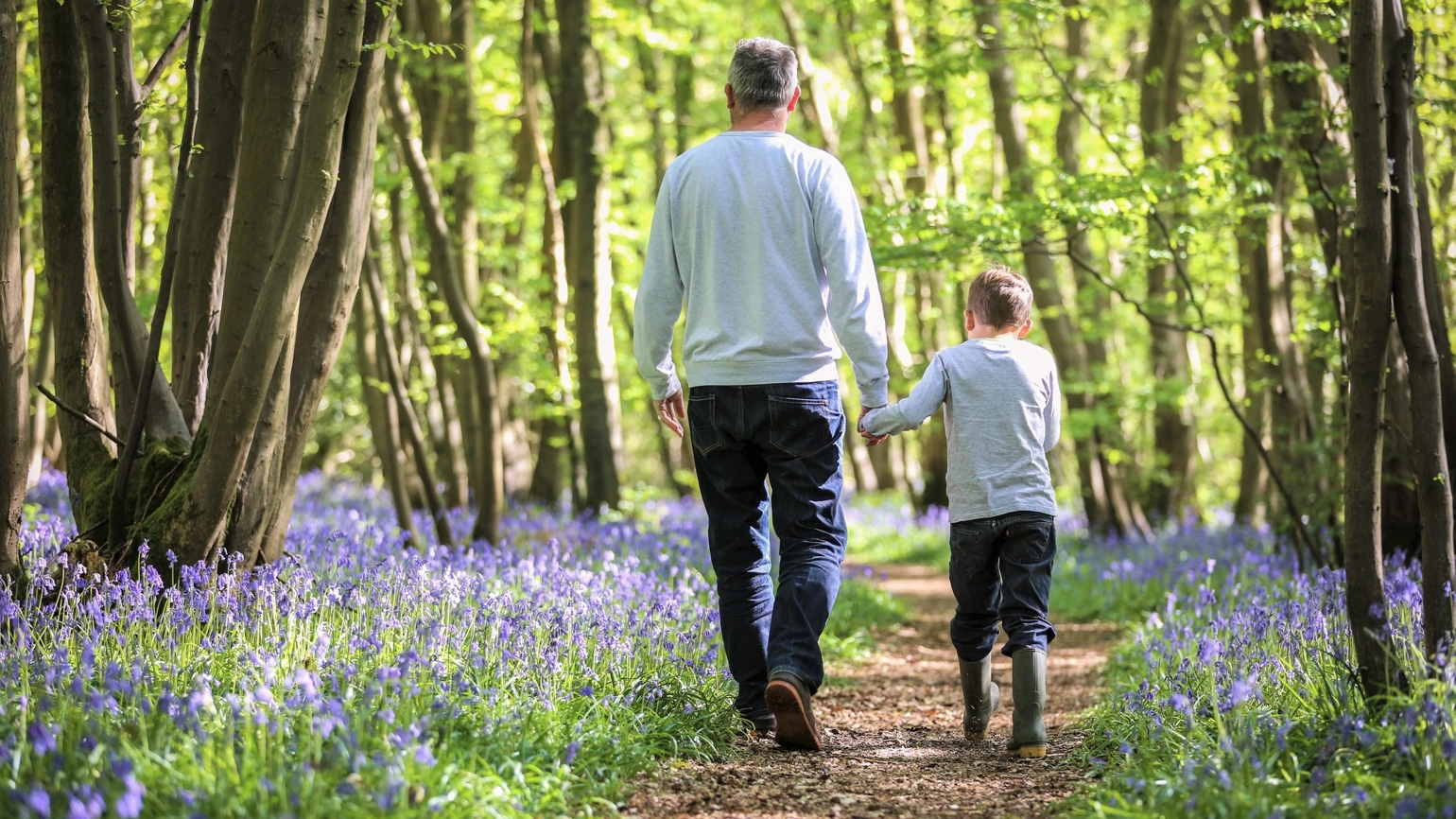 A father and son walking hand in hand along a woodland path. The surroundings are lush with green foliage, and the ground is lined with blooming bluebell flowers on either side of the path. A father and son walking hand in hand along a woodland path. The surroundings are lush with green foliage, and the ground is lined with blooming bluebell flowers on either side of the path.