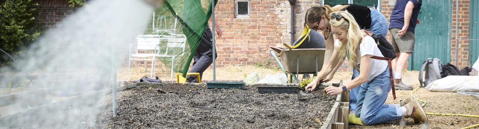 People working in a garden near a brick building, with a hose spraying water onto the soil and others tending to the ground with gardening tools. People working in a garden near a brick building, with a hose spraying water onto the soil and others tending to the ground with gardening tools.