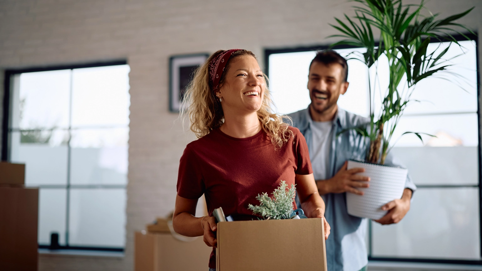 Ignite X LBG Image Ignite X LBG Image