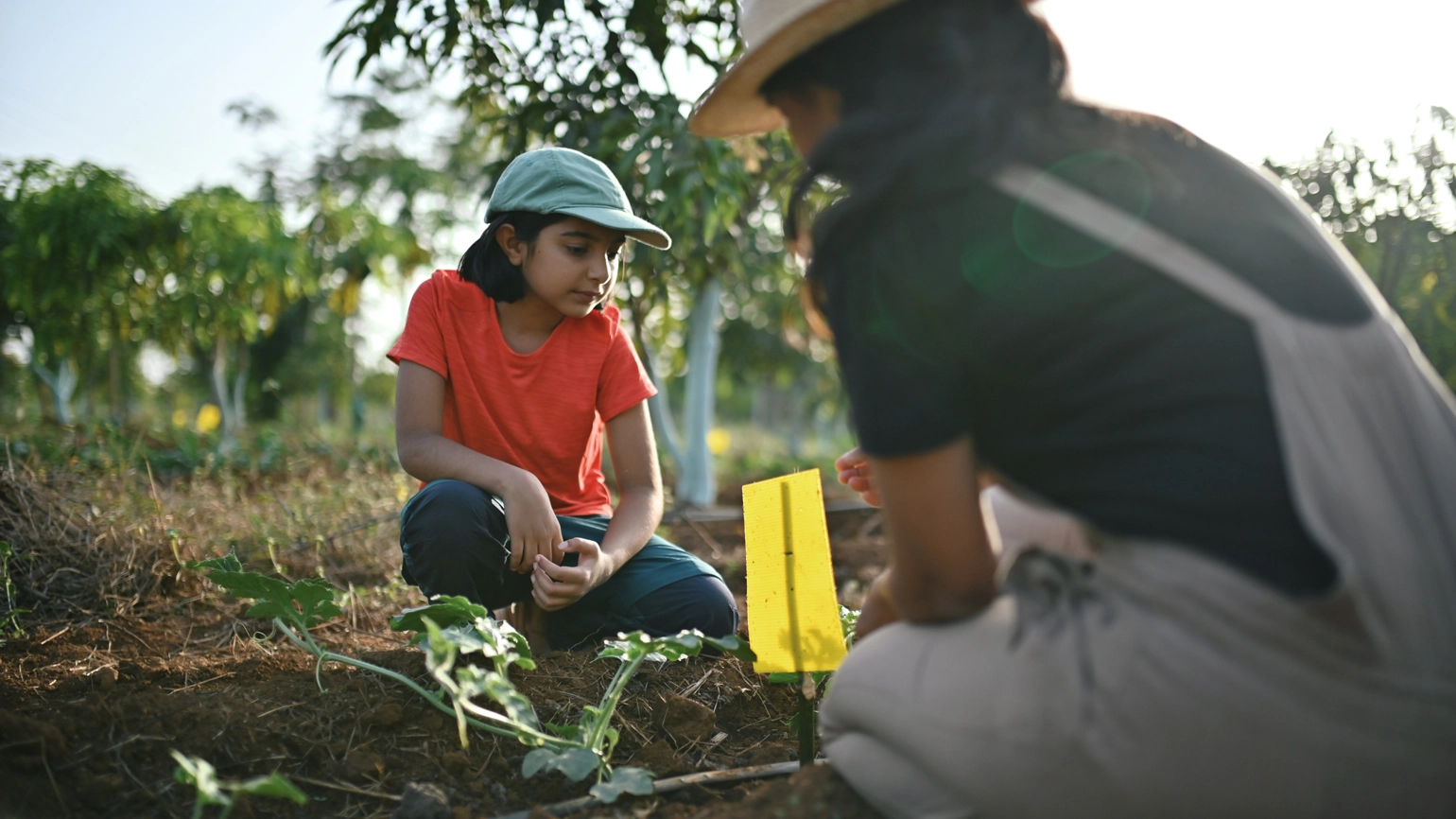Female kid and adult female working in their farm Female kid and adult female working in their farm