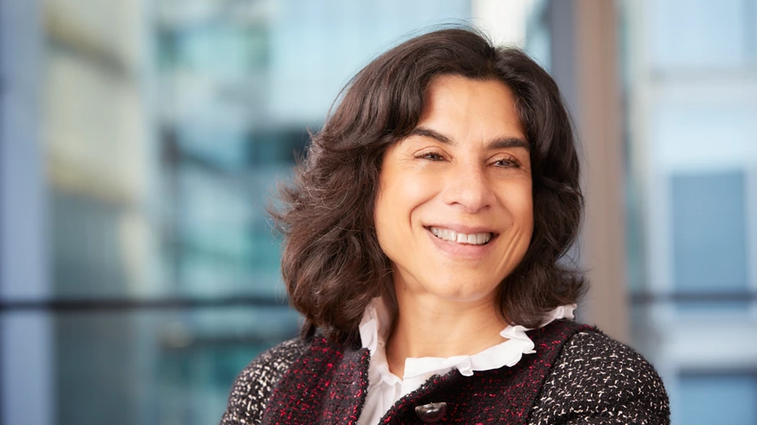 Photograph of Nilufer Kheraj OBE Photograph of Nilufer Kheraj OBE