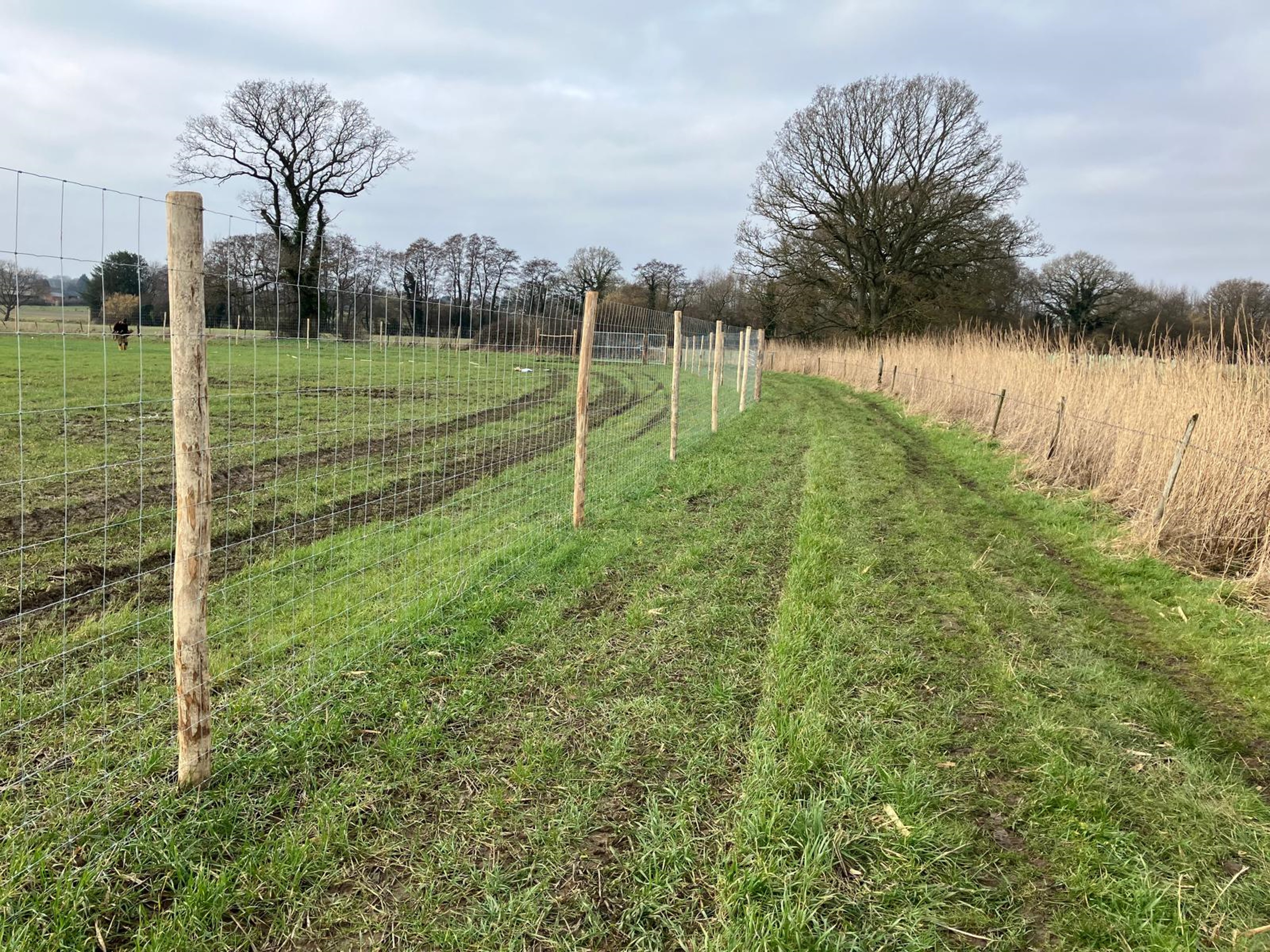 A long stretch of deer fencing running through a grassy field. The fence is made of wire mesh attached to wooden posts that are evenly spaced along the length of the fence.