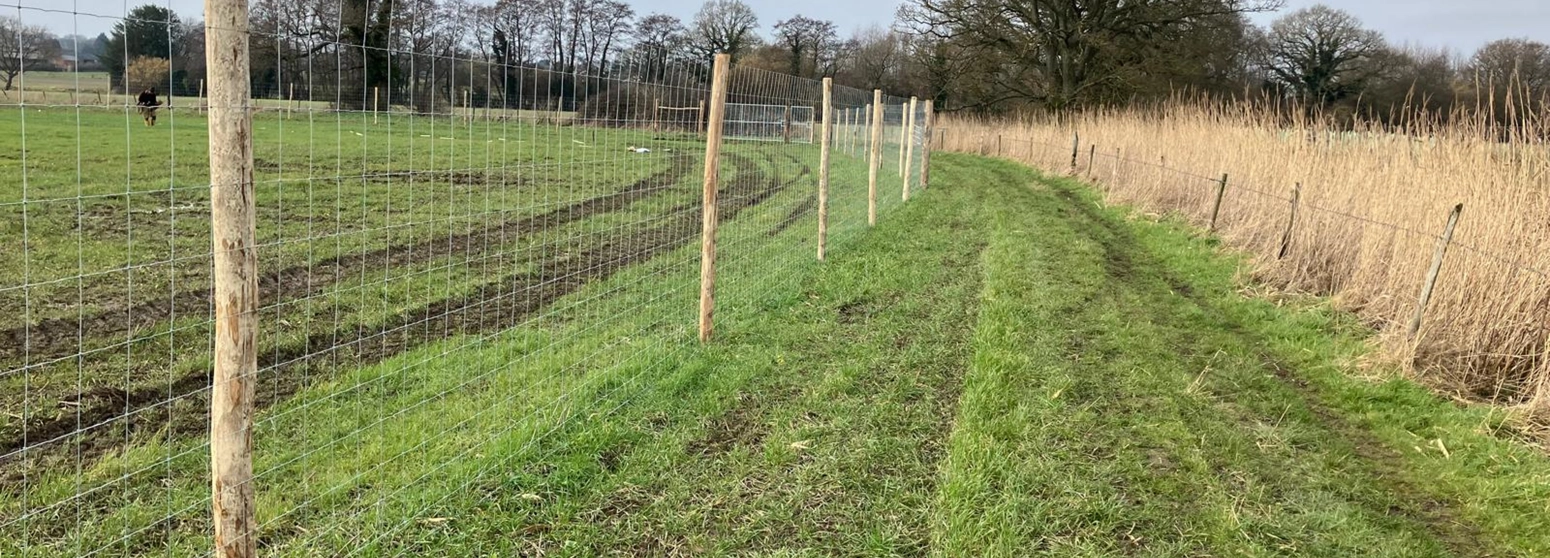 A long stretch of deer fencing running through a grassy field. The fence is made of wire mesh attached to wooden posts that are evenly spaced along the length of the fence. A long stretch of deer fencing running through a grassy field. The fence is made of wire mesh attached to wooden posts that are evenly spaced along the length of the fence.