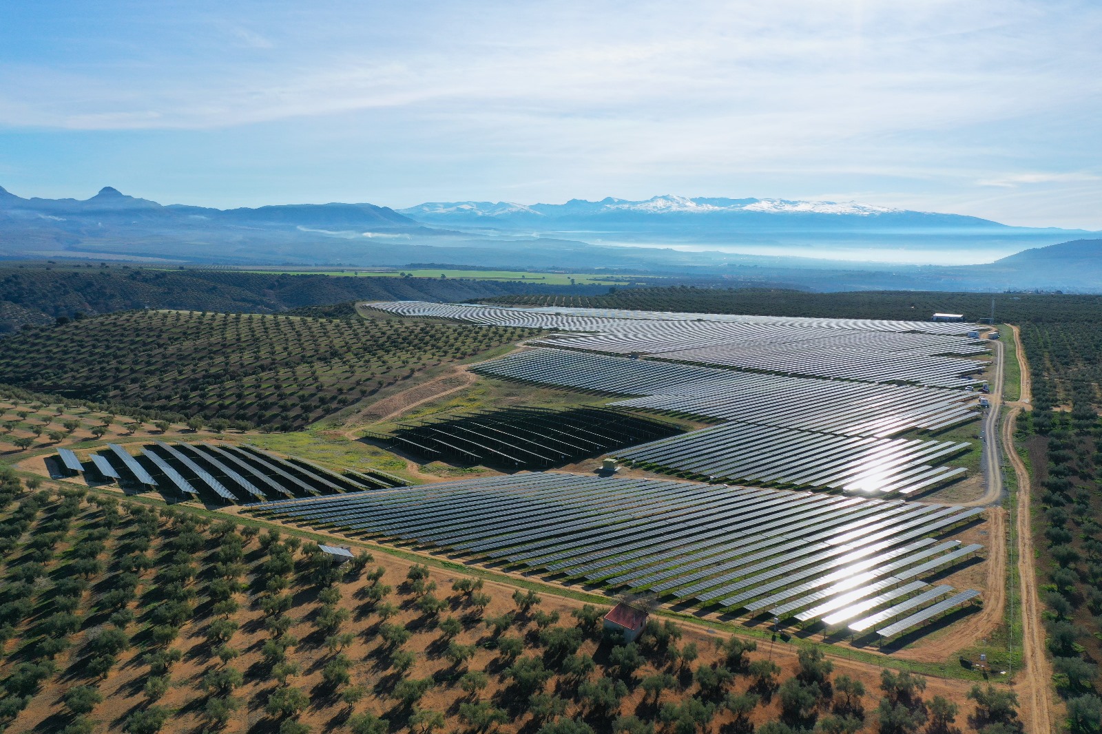 Aerial view of solar panel fields, developed in partnership with sector specialist NTR.